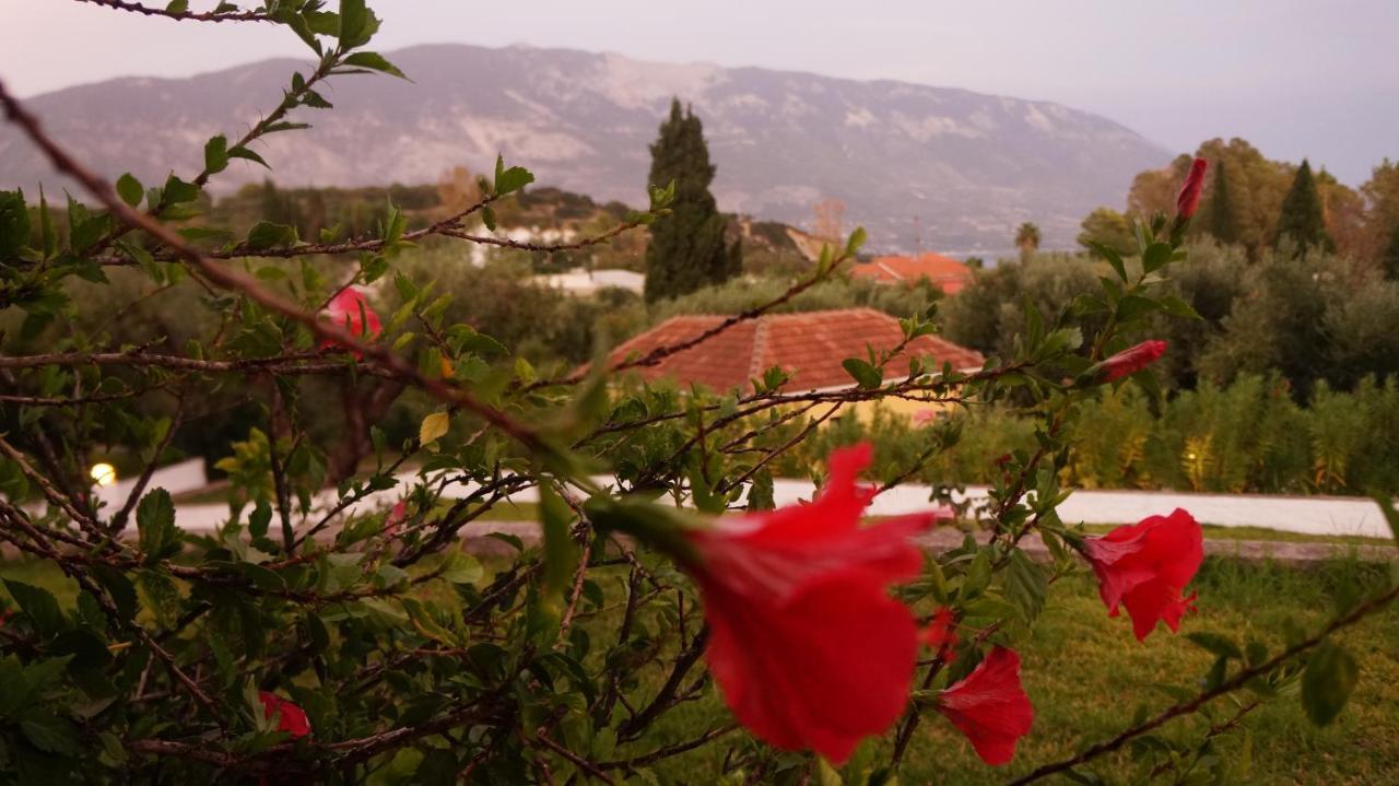 Thermanti Villas سبارتيا المظهر الخارجي الصورة